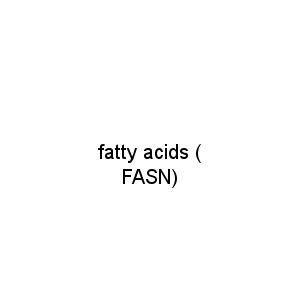 fatty acids ( FASN)